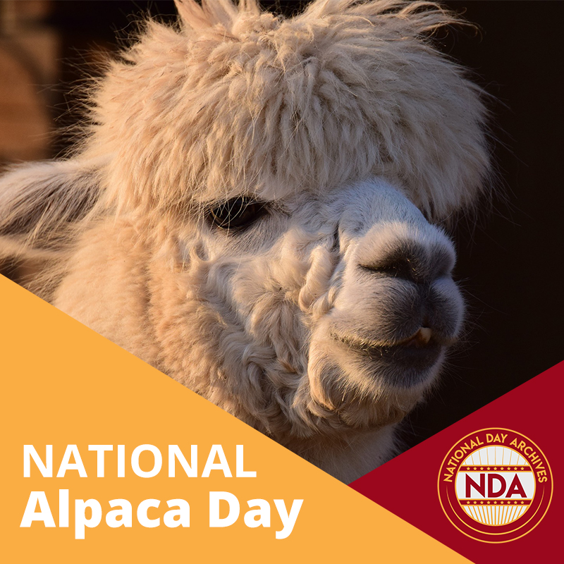 national alpaca day