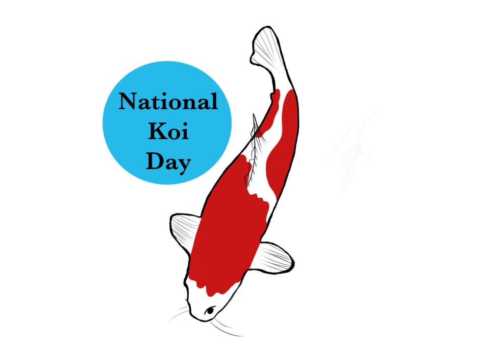 National Koi Day