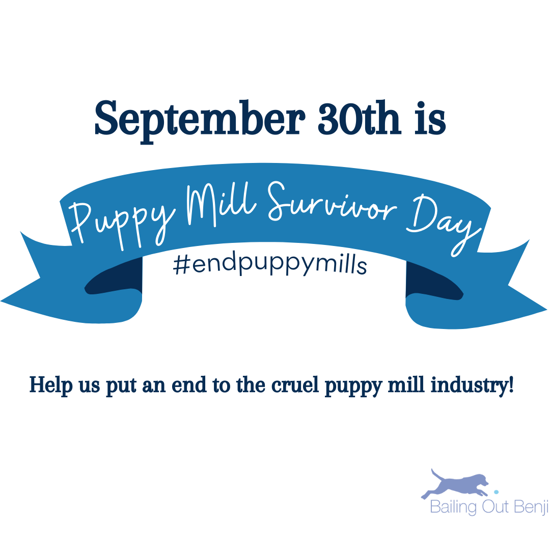 National Puppy Mill Survivor Day