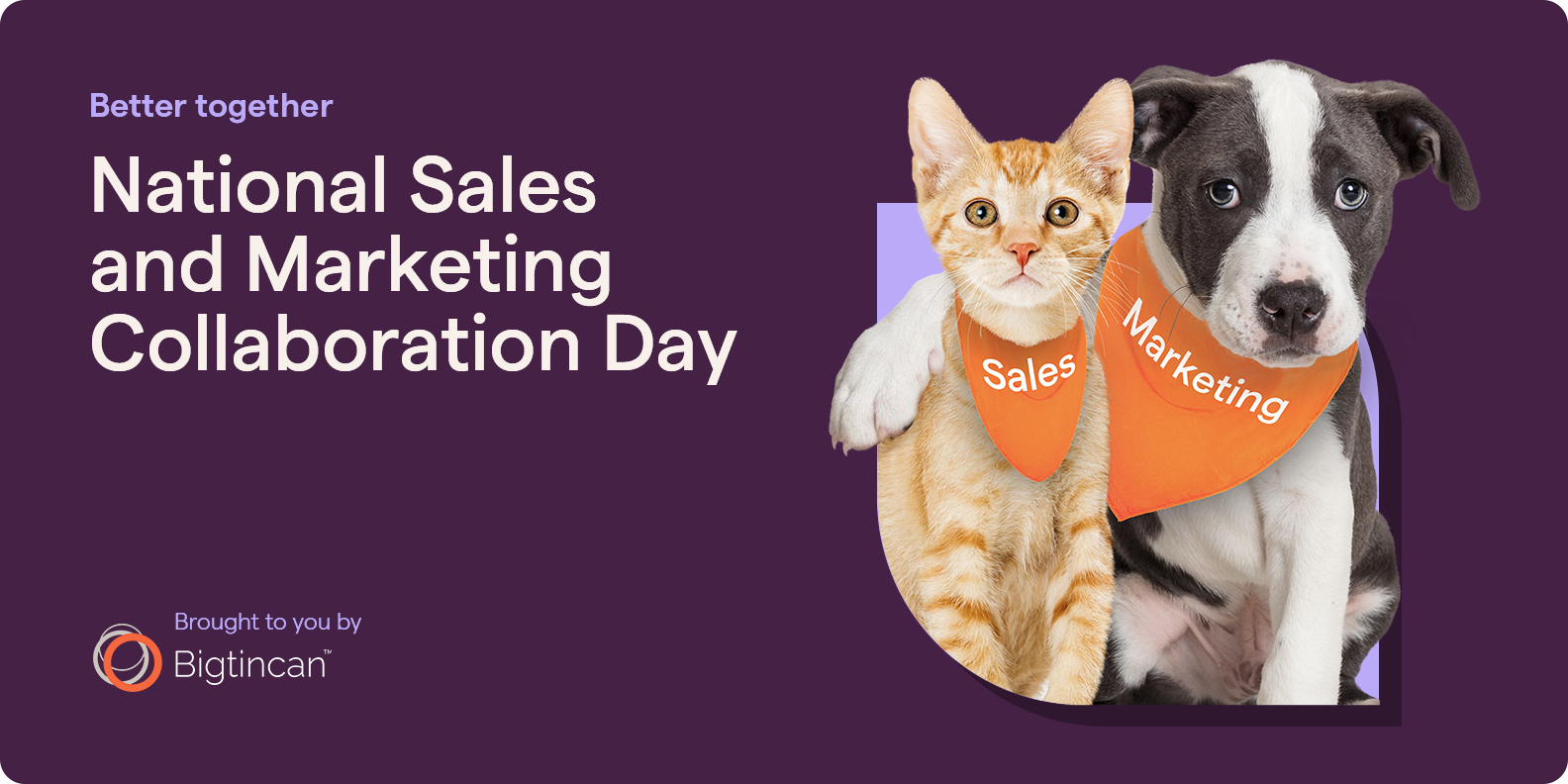 National Sales and Marketing Collaboration Day National Day Archives