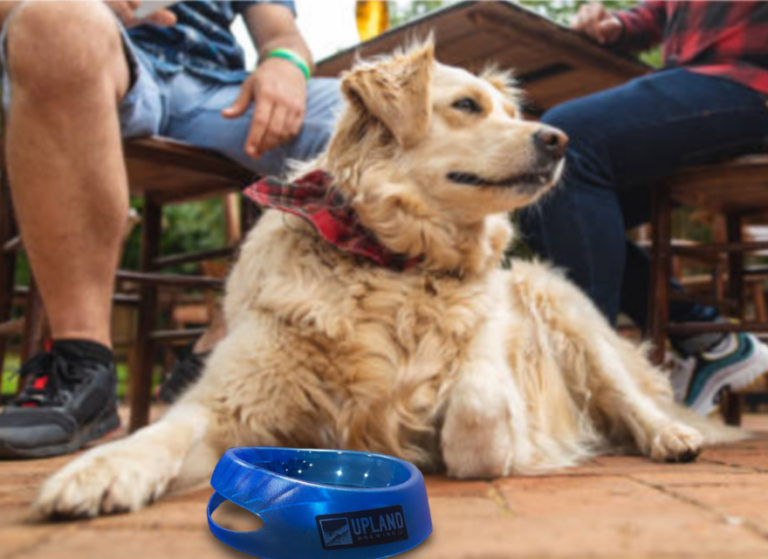 national-pet-friendly-day-national-day-archives