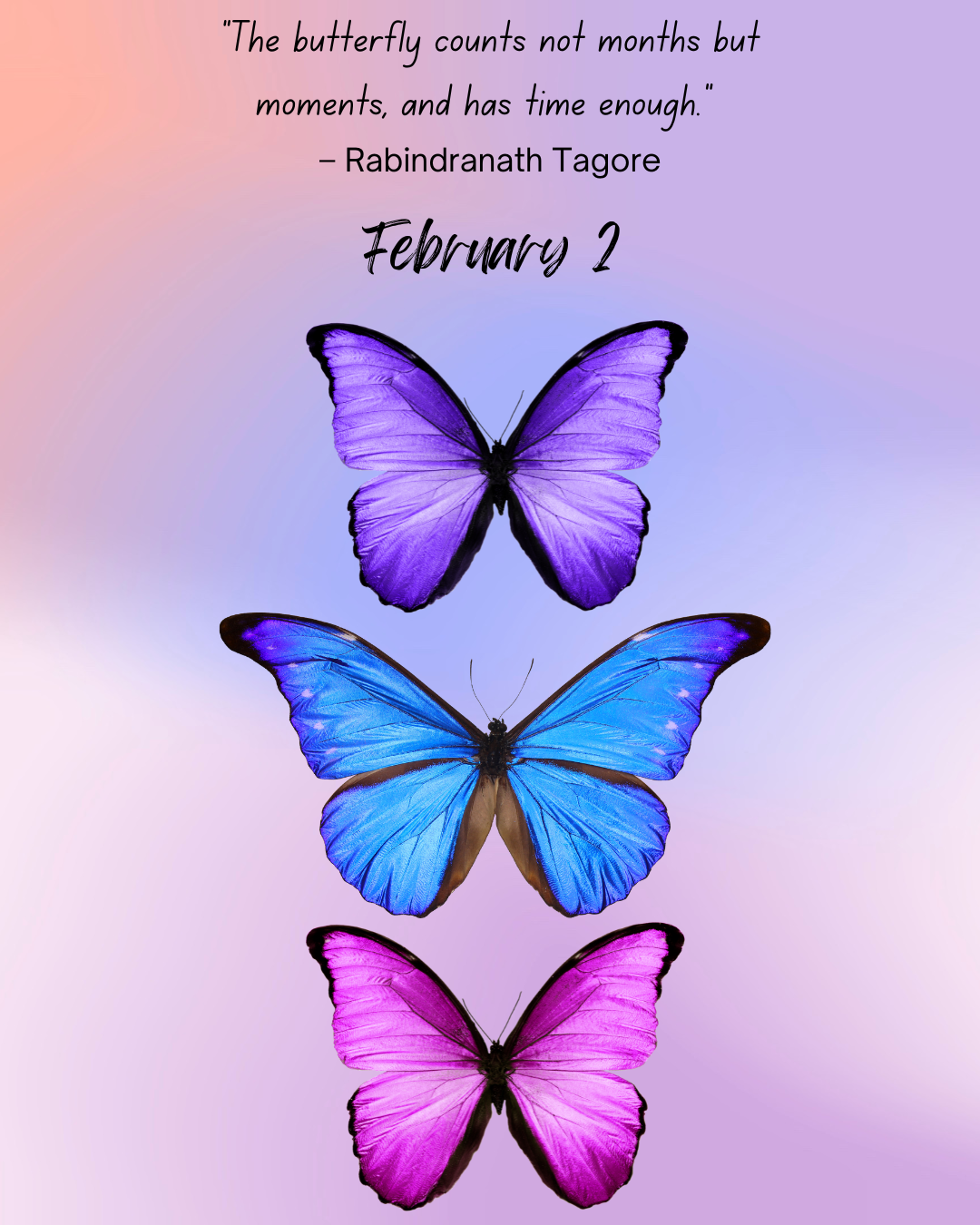 Butterfly Day