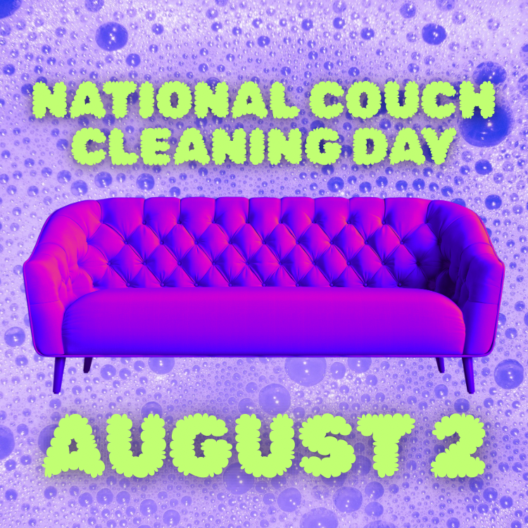 NATIONAL COUCH CLEANING DAY